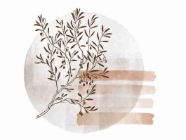 年度巅峰每日大赛——赛后复盘王者对决